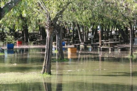 ...vom Meer ins Delta gedrckt wird.